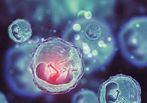 如何選擇一個(gè)靠譜的美國試管嬰兒醫(yī)院