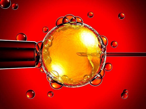 俄羅斯試管嬰兒醫(yī)院表