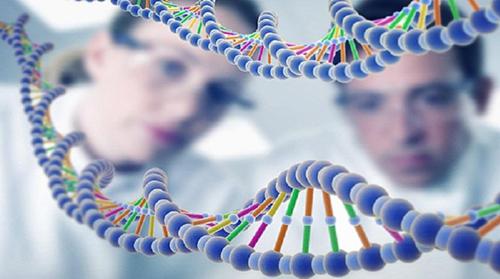 美國試管嬰兒醫(yī)院有什么優(yōu)勢?