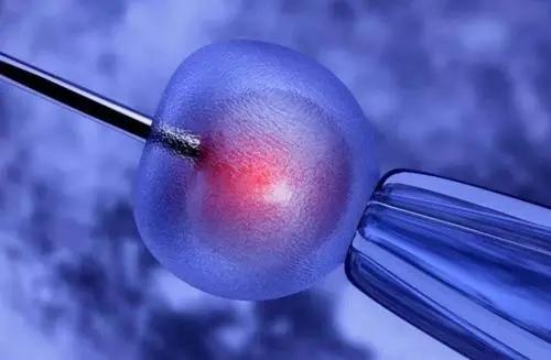 美國加州試管醫(yī)院排行如何?