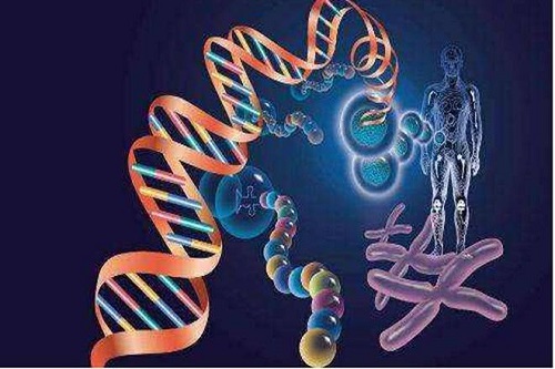 泰國(guó)試管嬰兒醫(yī)院如何選擇?