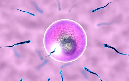 泰國三代試管嬰兒成功率高嗎