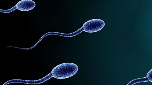 美國試管嬰兒成功率為什么這么高