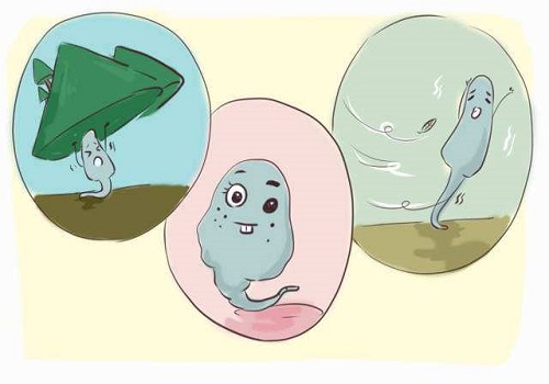 泰國三代試管的成功率是多少?和哪些因素相關(guān)?