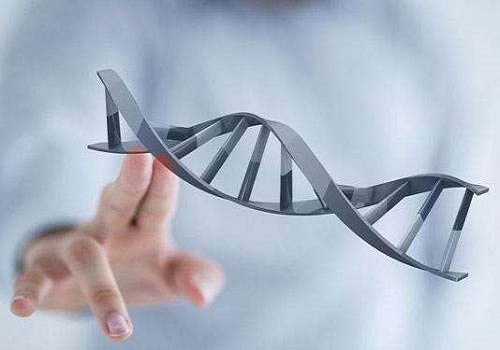 泰國(guó)試管嬰兒真實(shí)成功率到底有多高?決定因素有什么?