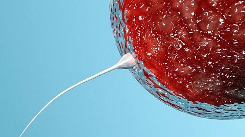 美國(guó)試管嬰兒醫(yī)院，費(fèi)用以及成功率介紹!