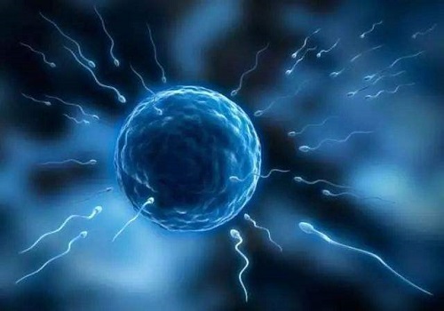 美國(guó)試管嬰兒多少錢(qián)?這些費(fèi)用少不了!