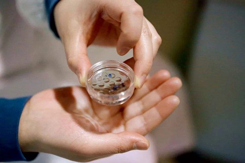 美國第三代試管都有哪些醫(yī)院