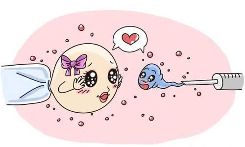 泰國(guó)試管醫(yī)院排行榜