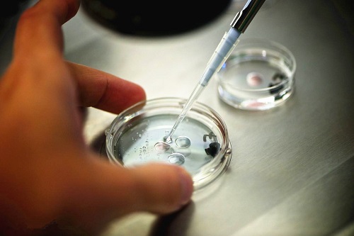 宮外孕去泰國做試管費(fèi)用多少