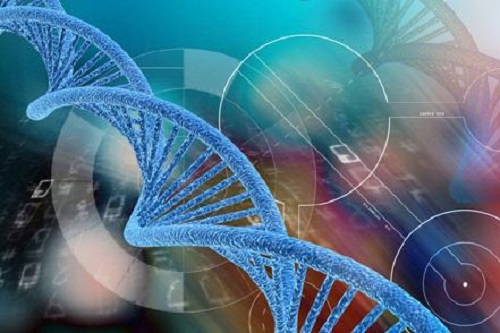 去泰國(guó)做試管多長(zhǎng)時(shí)間可以完成呢