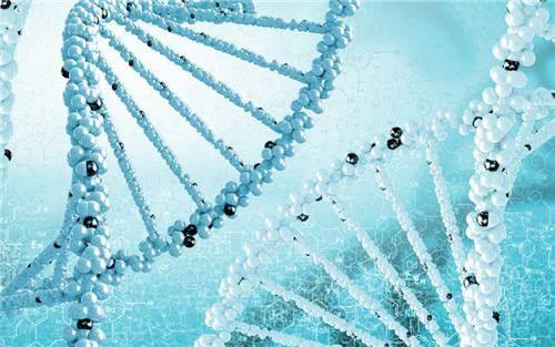 泰國(guó)試管各環(huán)節(jié)具體需要多少天