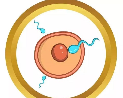美國第三代試管嬰兒準備