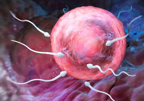 泰國第三代試管嬰兒技術(shù)成功率？