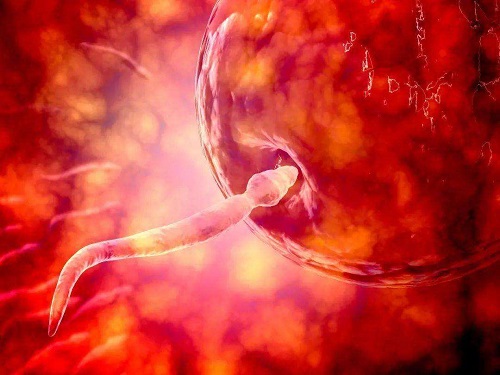 美國(guó)試管怎么做比較便宜?附醫(yī)院收費(fèi)情況