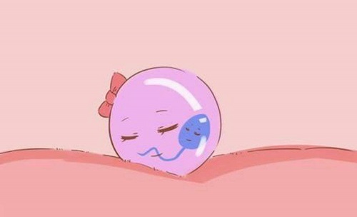 俄羅斯做三代試管嬰兒的正規(guī)醫(yī)院這份名單接住了？